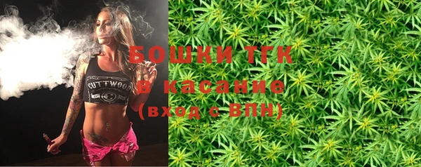 гашик Алексин