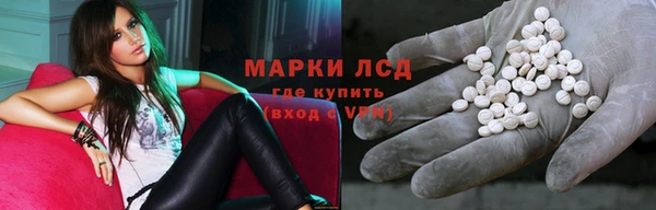 гашик Алексин
