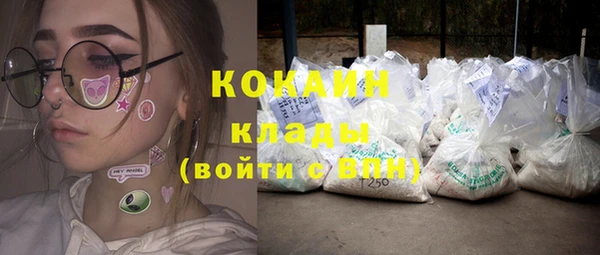 гашик Алексин