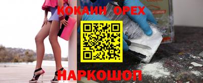 крисы Дубна