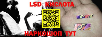 крисы Дубна