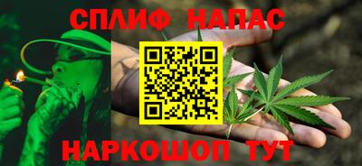 крисы Дубна