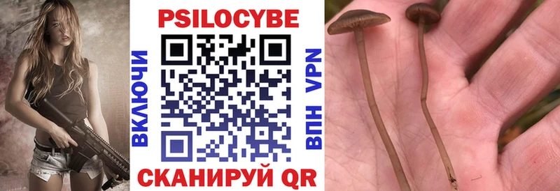 Псилоцибиновые грибы Psilocybe  omg зеркало  дарк нет формула  Можга 