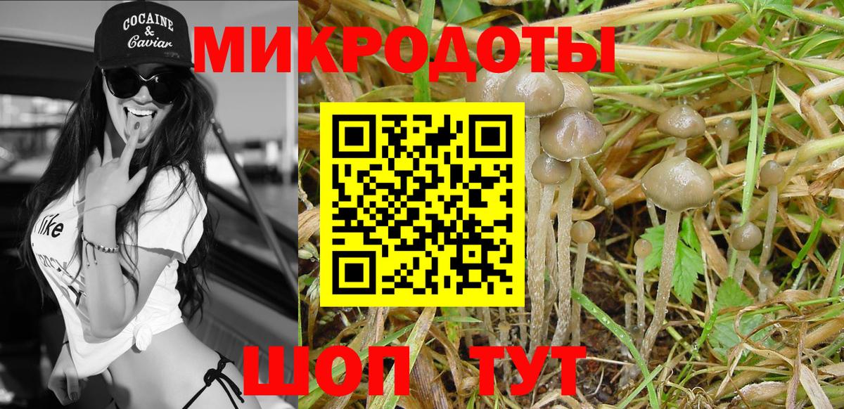 Галлюциногенные грибы Cubensis  Вход с VPN  Можга 