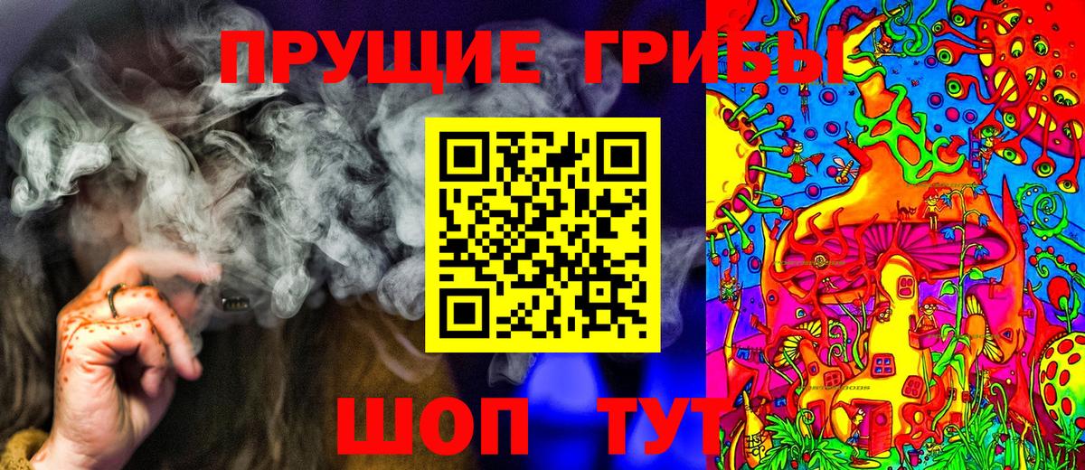 Псилоцибиновые грибы GOLDEN TEACHER Можга