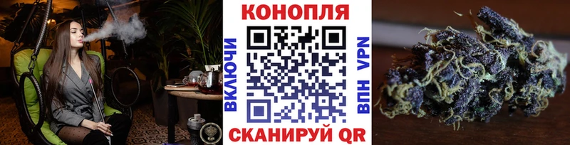 Бошки марихуана Amnesia  Можга 